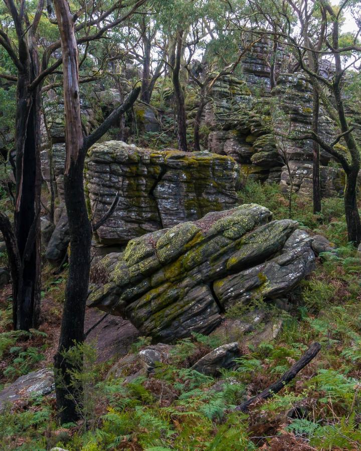Wonderland Cottages Halls Gap Exterior foto